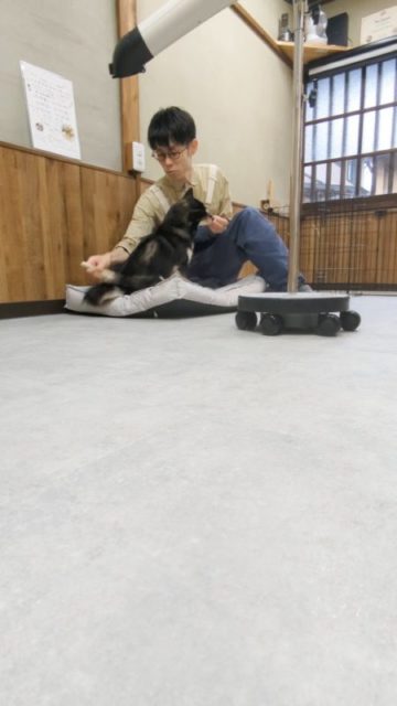 ←他の投稿はこちら
喧嘩しながらのお手入れ…😢
せっかくわんちゃんのためにしようと思ったのに怒られる…
ちょっと肩の力を抜いて、少し出来たらなら自分もわんちゃんも褒めてあげましょ!
飼い主さん、頑張ってるの知ってるで😆
#犬のお手入れ
#トリミング
#犬のケア
#泉大津
#褒めて伸ばす