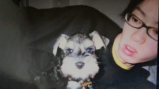 子犬を迎える編