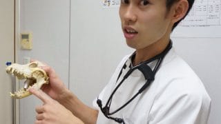 学校に通い始める編