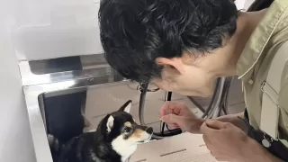 飼い主様のために頼れる場所になる。