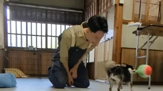 心の許せる第二のお家になりたい。