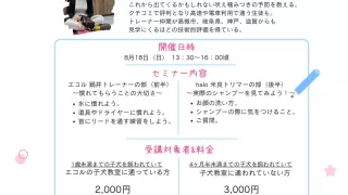 いずみおおつ動物病院でセミナーします。