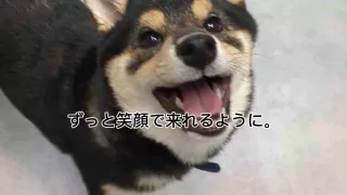 焦らず少しずつ一緒に成長しよう。