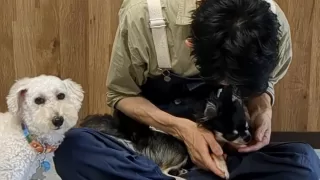 復習が大切なんです。