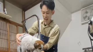 ずっと笑顔で通えるトリミング