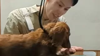 トリミングを楽しい場所にしてあげたい。