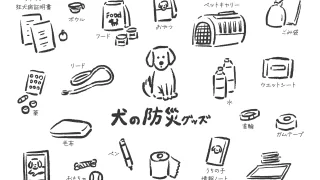 災害時の飼い主の心がまえと責任を考える。