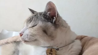 家と外でのダブルチェックがオススメ！