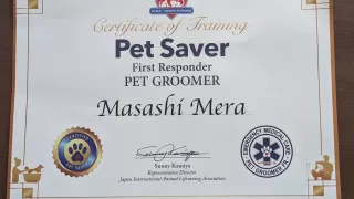 緊急対応をペットセーバー講習で学ぶ