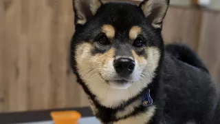 共に成長を分かち合える喜び。