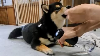 反省と勉強と感謝