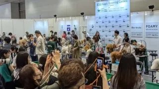 大阪インターペットへ