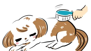 犬に負担をかけないためのお約束