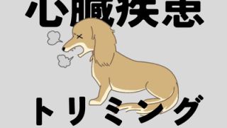 心臓疾患の犬のトリミング
