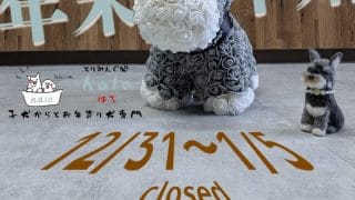 年末のごあいさつとお知らせ