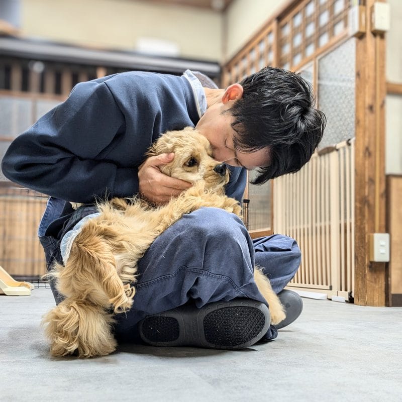 飼い主さんとわんこの安心ケア