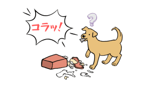 犬の問題行動はどうして起こる？