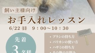 お手入れセミナーを開催します。