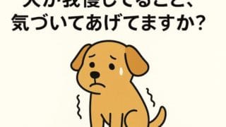わんこが我慢してること、気づいてあげてますか？