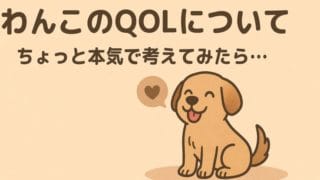 わんこのQOLについて、ちょっと本気で考えてみたら…
