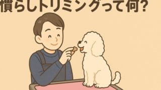 慣らしトリミングってなに？