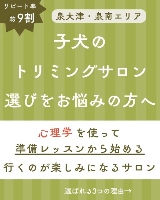 子犬のトリミング、
「いつか慣れるだろう」と思っていませんか？

実は──
最初の経験が、これから何年も続く
“トリミングの印象”を決めてしまいます。

とりみんぐ処 halo では
いきなりシャンプーやカットはしません。

✔ 道具の音
✔ 触られる感覚
✔ 場所の雰囲気

を、心理学（応用行動学）を使って段階的に練習します。

その結果、
泉大津・泉南エリアで
リピート率 約9割。

「通うほど、落ち着いていく」
そんな変化を、ぜひ一度体験してください。

#子犬トリミング
#準備レッスン
#子犬の悩み
#愛犬との暮らし
#泉大津市