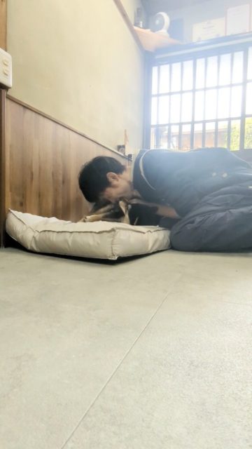 イチャイチャするトリマー

#子犬 #泉大津市 #トリミングサロン #行動分析学 #トリミングを楽しみにな日に