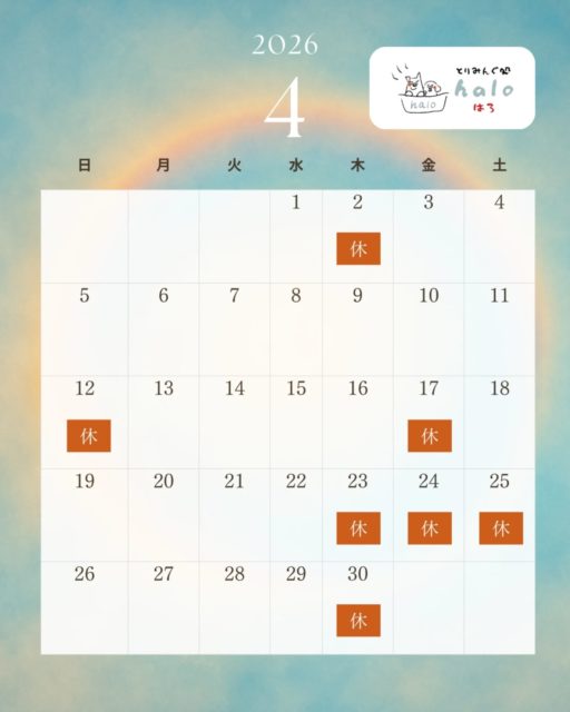 とりみんぐ処haloの営業日カレンダーです✨
春です🌸　大好きな季節！　けど花粉で大変😂
僕がマスクをしていたら、そういうことなんだと思ってください🐶

#子犬トリミング
#営業日カレンダー
#泉大津トリミングサロン