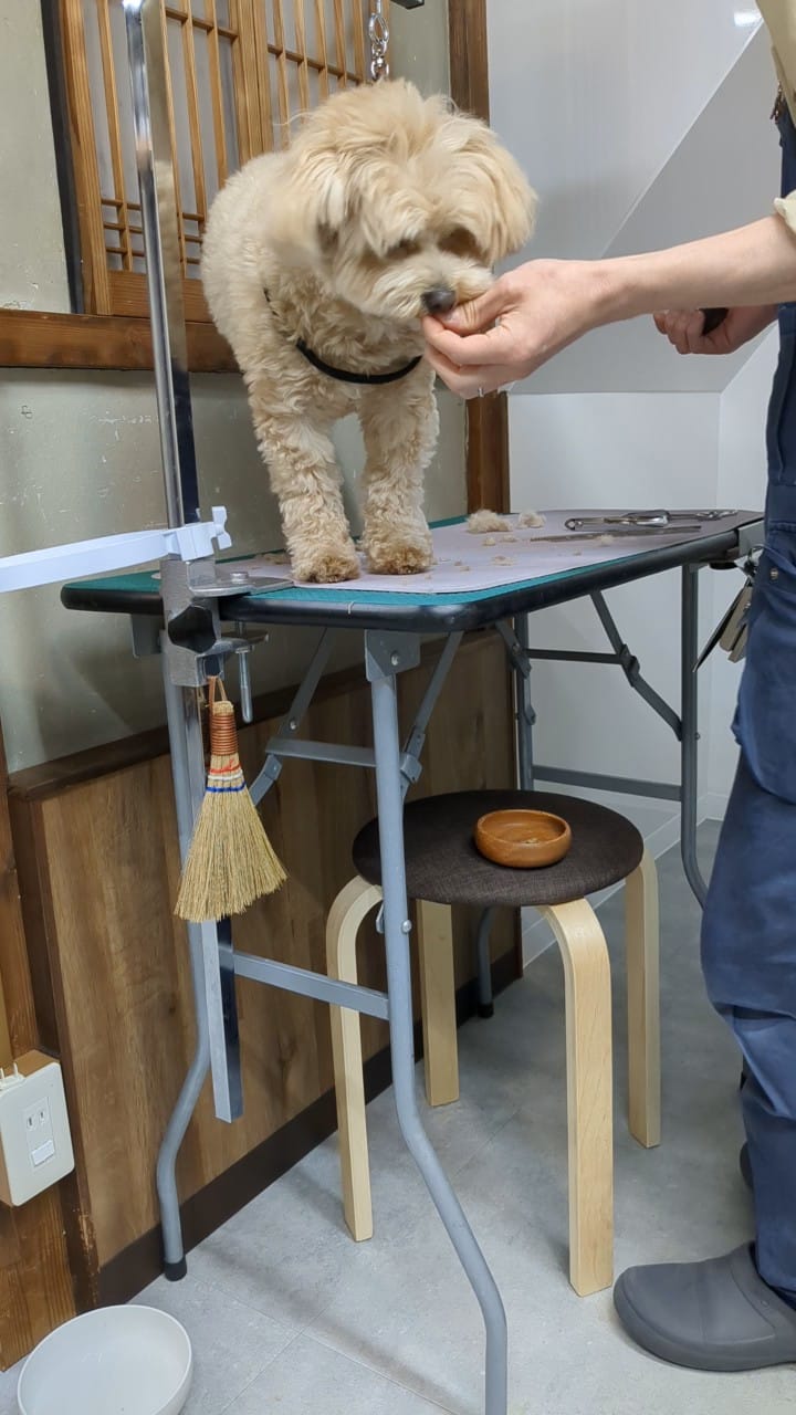 ごほうびを食べる