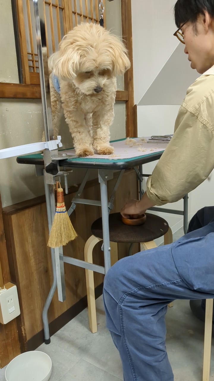 ごほうびを手渡す