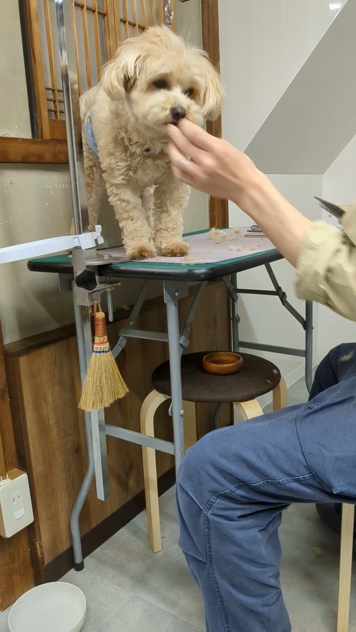 終わった後のごほうび